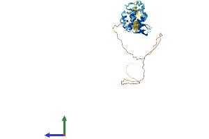 Protein Structure (PS) image for PRP38 Pre-mRNA Processing Factor 38 (Yeast) Domain Containing A (PRPF38A) (AA 1-312) protein (His tag) (ABIN7557377)