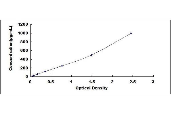 Tissue factor ELISA 试剂盒