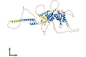 Protein Structure (PS) image for Aryl Hydrocarbon Receptor Nuclear Translocator-Like (ARNTL) (AA 1-626) protein (His tag) (ABIN7552875)