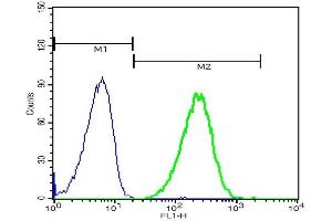 Flow Cytometry (FACS) image for anti-Heat Shock Protein 90kDa alpha (Cytosolic), Class B Member 1 (HSP90AB1) (AA 635-724) antibody (ABIN725495)