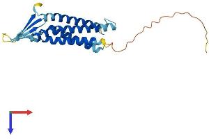 AlphaFold protein structure predicition of Mouse Recombinant Cldn6 Protein, UniprotID Q9Z262 (Claudin 6 Protein (CLDN6) (AA 1-219) (His tag))