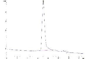 The purity of Human CD34 is greater than 95 % as determined by SEC-HPLC.