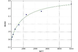 Tissue Polypeptide Antigen (TPA) ELISA Kit