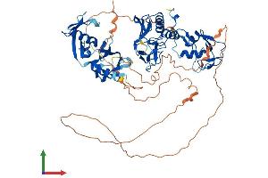 Protein Structure (PS) image for Deltex Homolog 2 (DTX2) (AA 1-622) protein (His tag) (ABIN7553745)