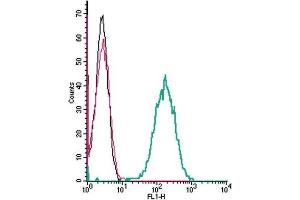 Cell surface detection of C5aR2 by indirect flow cytometry in live intact mouse J774 macrophage cell line: (black line) Cells. (GPR77 抗体  (Extracellular))
