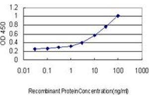 Detection limit for recombinant GST tagged RFC4 is approximately 0. (RFC4 抗体  (AA 254-363))