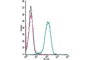 Cell surface detection of C5aR2 by indirect flow cytometry in live intact human THP-1 monocytic leukemia cells: (black line) Cells. (GPR77 抗体  (Extracellular))