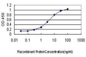 Detection limit for recombinant GST tagged LGALS8 is approximately 0. (LGALS8 抗体  (AA 1-358))