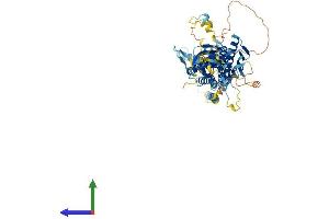 Protein Structure (PS) image for Mediator Complex Subunit 17 (MED17) (AA 1-651) protein (His tag) (ABIN7554557)