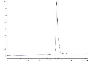 The purity of SARS-CoV-2 3CLpro (A191V) is greater than 95 % as determined by SEC-HPLC. (SARS-Coronavirus Nonstructural Protein 8 (SARS-CoV NSP8) (A191V) 蛋白)