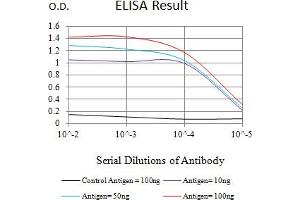 Black line: Control Antigen (100 ng),Purple line: Antigen (10 ng), Blue line: Antigen (50 ng), Red line:Antigen (100 ng) (BAX 抗体)