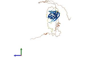 AlphaFold protein structure predicition of Human Recombinant IGSF5 Protein, UniprotID Q9NSI5