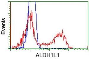 HEK293T cells transfected with either RC213720 overexpress plasmid (Red) or empty vector control plasmid (Blue) were immunostained by anti-ALDH1L1 antibody (ABIN2452749), and then analyzed by flow cytometry. (ALDH1L1 抗体)