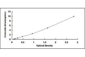 Typical standard curve (JTB ELISA 试剂盒)