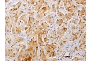 Image no. 1 for anti-Family with Sequence Similarity 84, Member A (FAM84A) (AA 1-293) antibody (ABIN466272) (FAM84A 抗体  (AA 1-293))