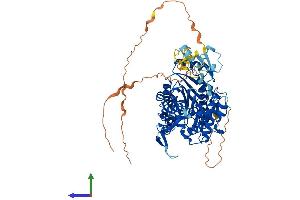 Protein Structure (PS) image for tRNA Methyltransferase 1 (TRMT1) (AA 1-663) protein (His tag) (ABIN7557098)