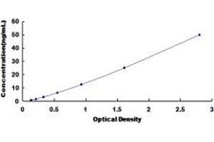 Typical standard curve (VLDLR ELISA 试剂盒)