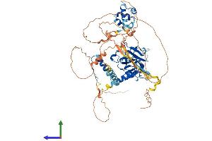 Protein Structure (PS) image for Tumor Protein P63 (TP63) (AA 1-680) protein (His tag) (ABIN7562686)