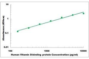 Representative Standard Curve (Vitamin D-Binding Protein ELISA 试剂盒)