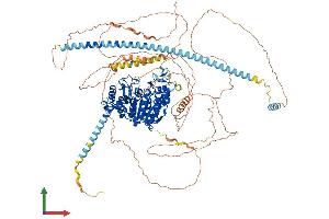 Protein Structure (PS) image for Histone Deacetylase 5 (HDAC5) (AA 1-1122) protein (His tag) (ABIN7554095)