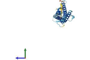 Protein Structure (PS) image for Claudin 7 (CLDN7) (AA 1-211) protein (His tag) (ABIN7556409)