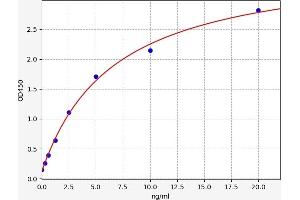 Typical standard curve (Phospholamban ELISA 试剂盒)