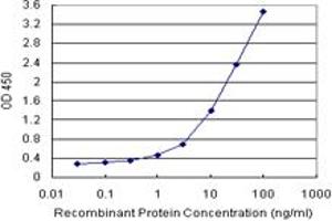 Sandwich ELISA detection sensitivity ranging from 3 ng/mL to 100 ng/mL. (HOXD8 (人) Matched Antibody Pair)