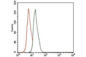 Flow cytometric analysis of HeLa cells using CBX8 mouse mAb (green) and negative control (red). (CBX8 抗体  (AA 17-222))