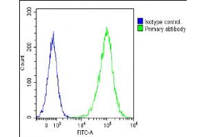 Overlay histogram showing Jurkat cells stained with (ABIN655597 and ABIN2845082)(green line). (ADA 抗体  (C-Term))