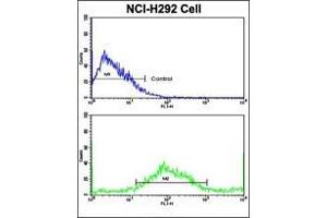 Flow Cytometric analysis of NCI-H292 cells using AP17730PU-N SAR1A Antibody (Center)(bottom histogram) compared to a negative control cell (top histogram). (SAR1A 抗体  (Middle Region))