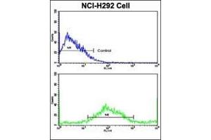 Flow Cytometric analysis of NCI-H292 cells using AP17730PU-N SAR1A Antibody (Center)(bottom histogram) compared to a negative control cell (top histogram).