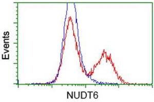 Flow Cytometry (FACS) image for anti-Nudix (Nucleoside Diphosphate Linked Moiety X)-Type Motif 6 (NUDT6) antibody (ABIN1499868) (NUDT6 抗体)