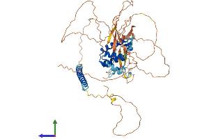 Protein Structure (PS) image for Protein BANP (BANP) (AA 1-548) protein (His tag) (ABIN7564721)