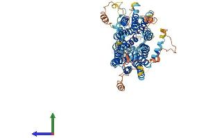 Protein Structure (PS) image for Solute Carrier Organic Anion Transporter Family, Member 3A1 (SLCO3A1) (AA 1-710) protein (His tag) (ABIN7555514)