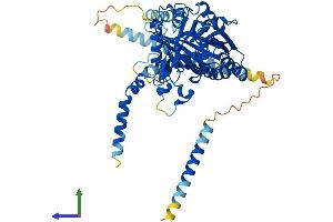 Protein Structure (PS) image for Chondroitin Sulfate N-Acetylgalactosaminyltransferase 1 (CSGALNACT1) (AA 1-532) protein (His tag) (ABIN7553247)