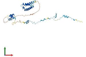 Protein Structure (PS) image for CUE Domain Containing 2 (CUEDC2) (AA 1-284) protein (His tag) (ABIN7560734)