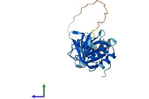 Protein Structure (PS) image for Small Nuclear Ribonucleoprotein Polypeptide B (SNRPB2) (AA 1-225) protein (His tag) (ABIN7551672)