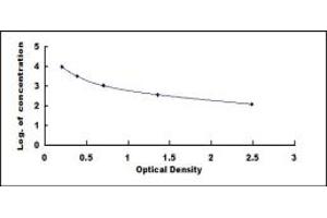 Typical standard curve (IgD ELISA 试剂盒)