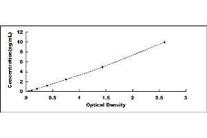 Typical standard curve (Azurocidin ELISA 试剂盒)