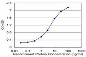 Detection limit for recombinant GST tagged CSNK1G2 is approximately 0. (Casein Kinase 1 gamma 2 抗体  (AA 315-415))
