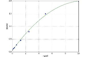 Nitric Oxide Synthase 1, Neuronal (NOS1) ELISA Kit