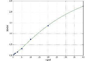 Glucokinase (Hexokinase 4) (GCK) ELISA Kit