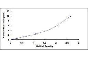 Insulin Receptor (INSR) ELISA Kit