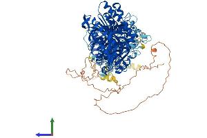 Protein Structure (PS) image for Phospholipase D1 (PLD1) (AA 1-1074) protein (His tag) (ABIN7565292)