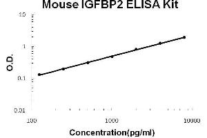 Mouse IGFBP2 PicoKine ELISA Kit standard curve (IGFBP2 ELISA 试剂盒)