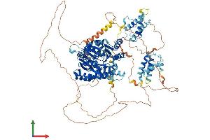 AlphaFold protein structure predicition of Human Recombinant RECQL5 Protein, UniprotID O94762