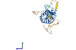 Protein Structure (PS) image for Cyclin Y-Like 1 (CCNYL1) (AA 1-359) protein (His tag) (ABIN7553214)