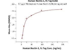 Immobilized Biotinylated Human Nectin-4, His,Avitag (ABIN6938938,ABIN6950980) at 1 μg/mL (100 μL/well) on Streptavidin  precoated (0.