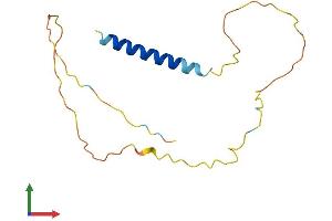 Protein Structure (PS) image for Cell Cycle Exit and Neuronal Differentiation 1 (CEND1) (AA 1-149) protein (His tag) (ABIN7561629)