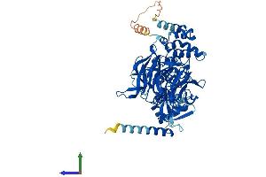 Protein Structure (PS) image for Kelch Repeat and BTB (POZ) Domain Containing 5 (KBTBD5) (AA 1-621) protein (His tag) (ABIN7548866)